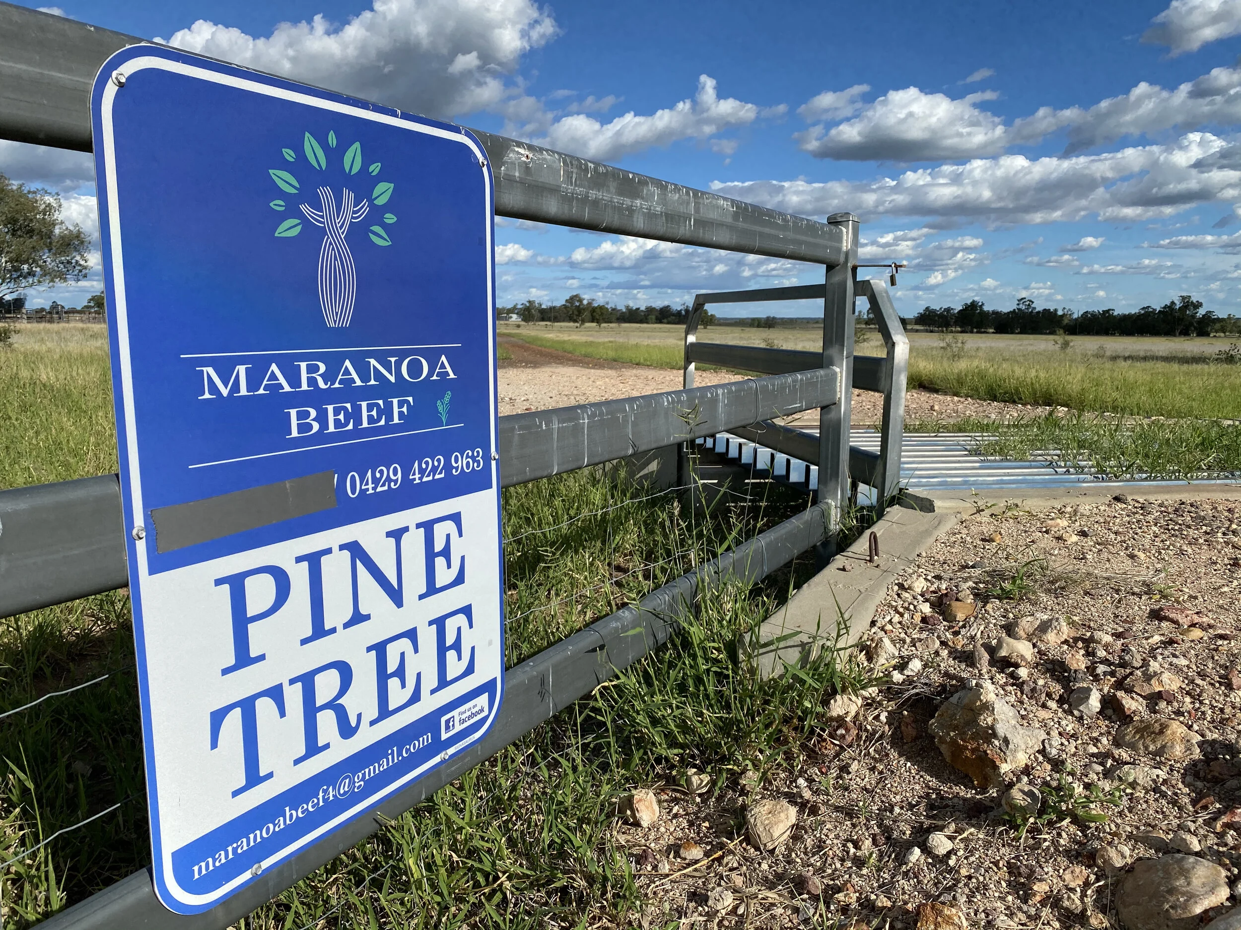 Maranoa Beef &amp; Lamb, grass fed paddock to plate
