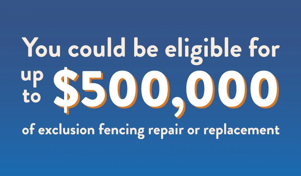 Exclusion Fencing Recovery Grants now open