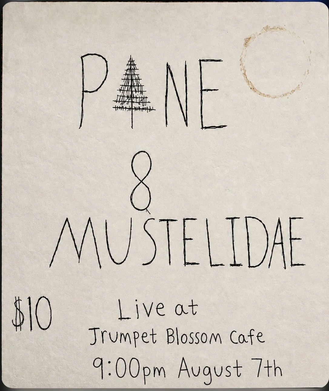 PINE // MUSTELIDAE