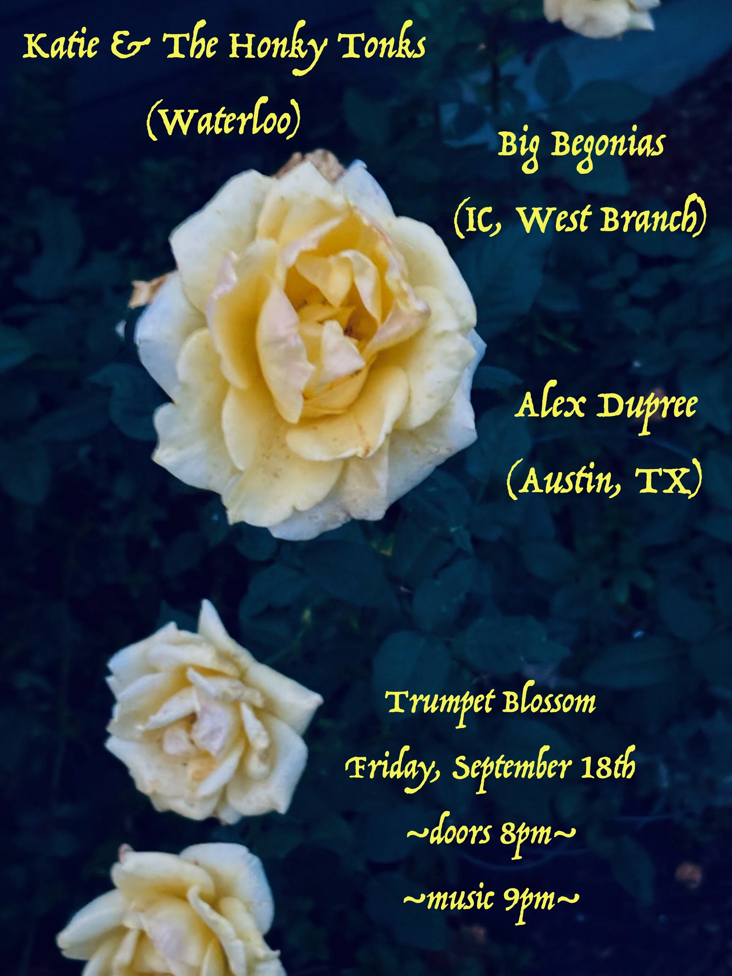 Katie &amp; the Honky Tonks / Big Begonias / Alex Dupree