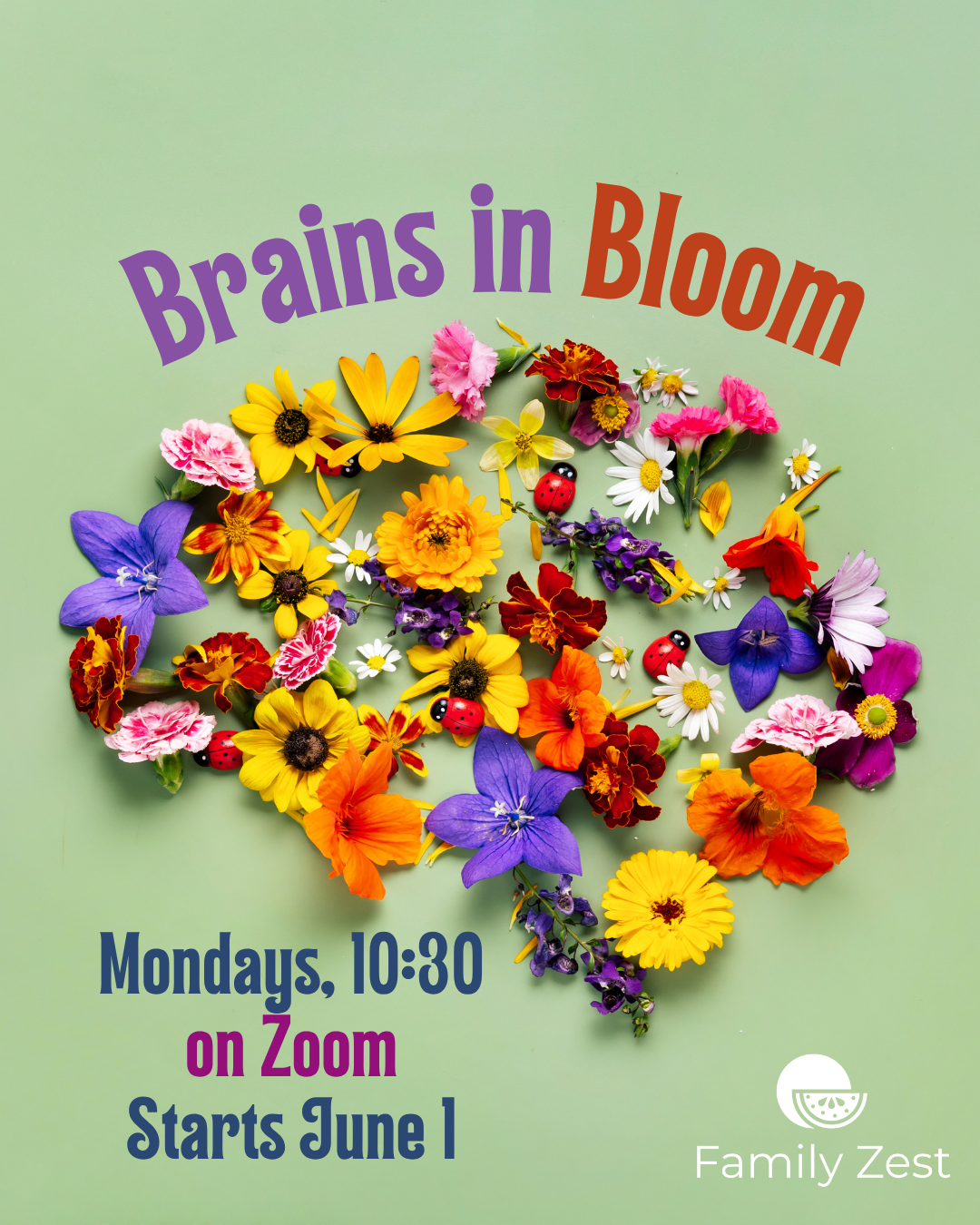 Brains in Bloom_Summer.png