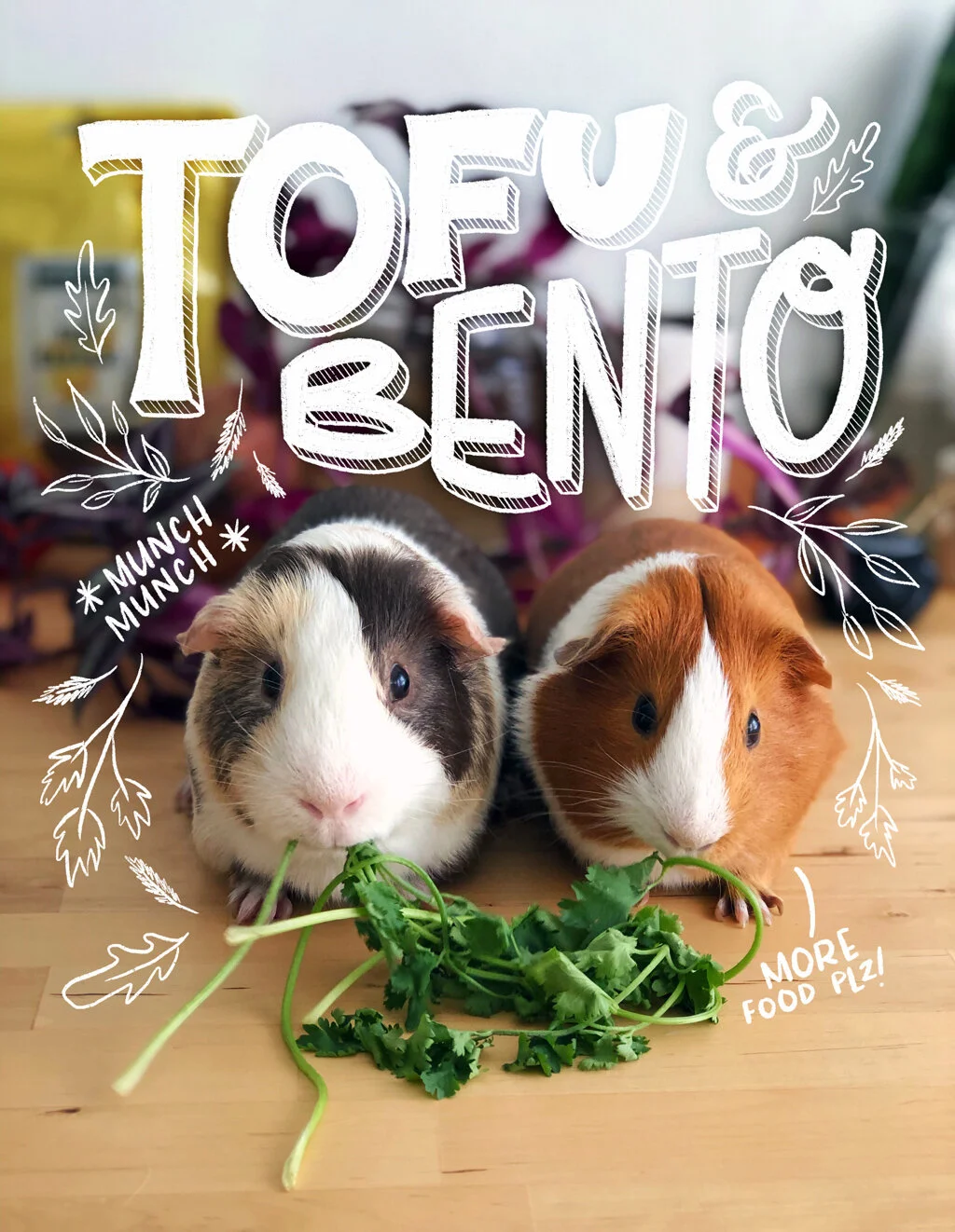 Tofu&Bento.jpg