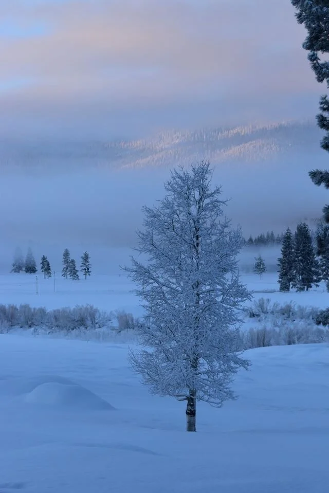 Gallery — Valley Ranch HOA