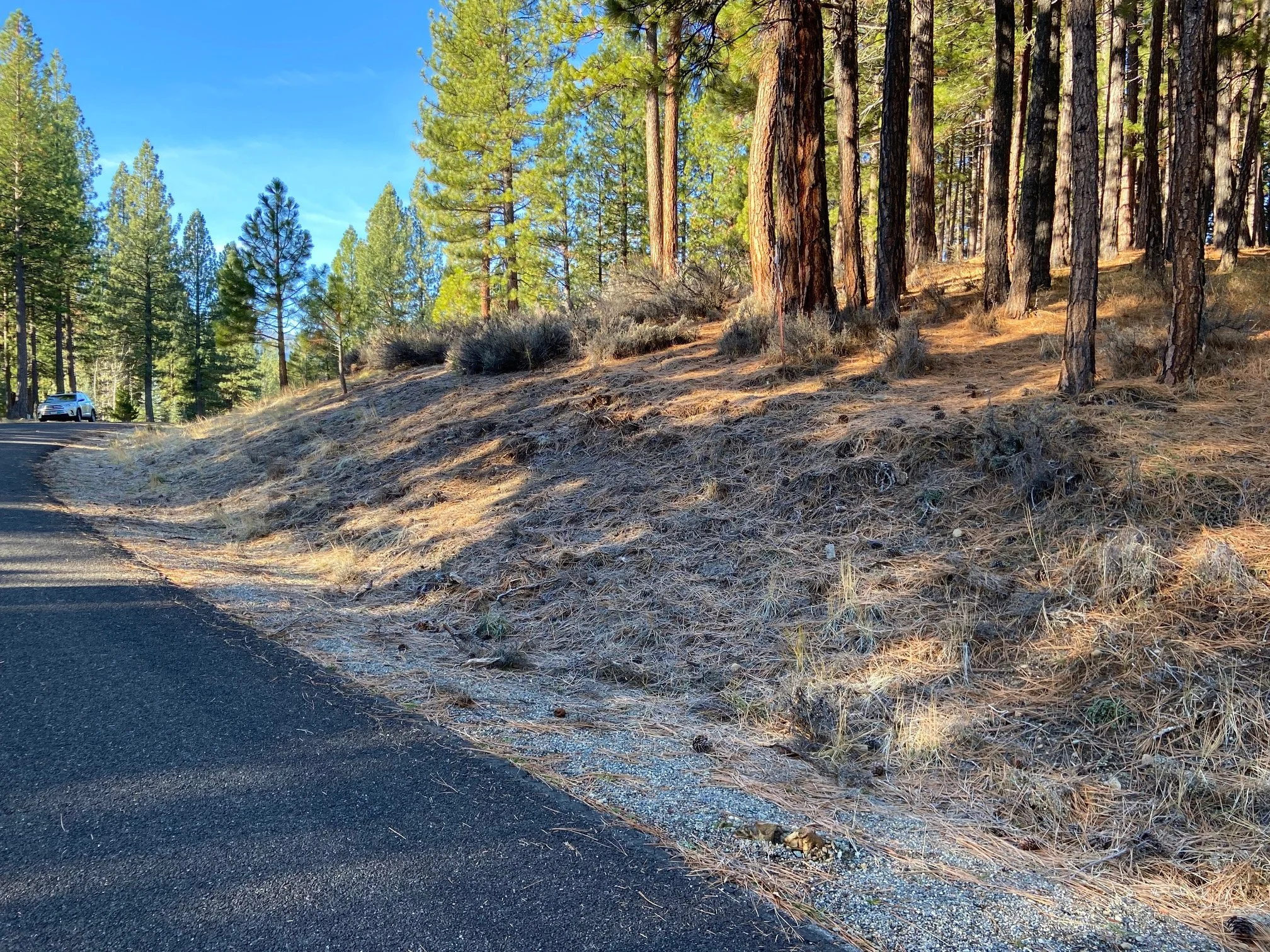 Education and Events — Valley Ranch HOA