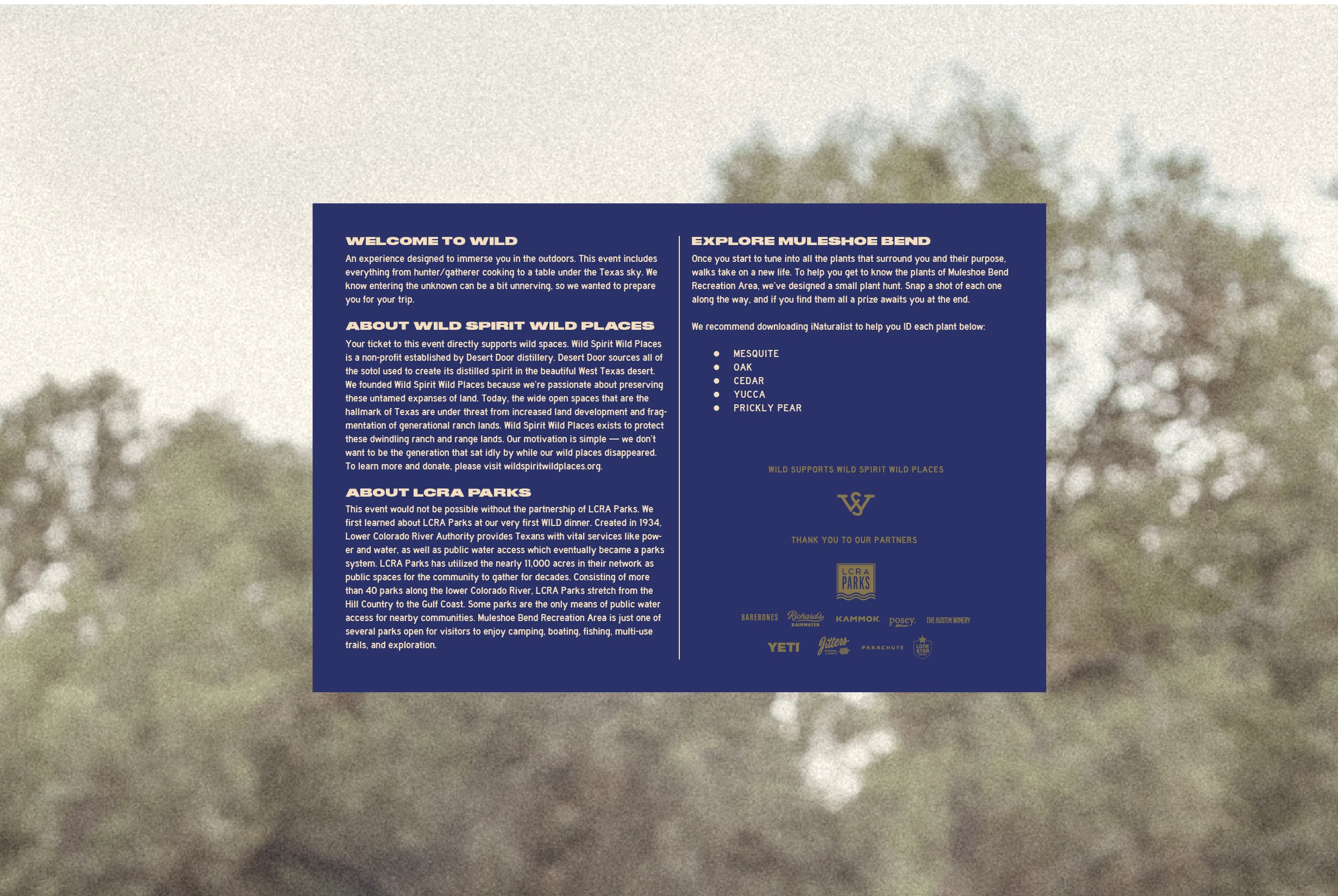 website-53.jpg