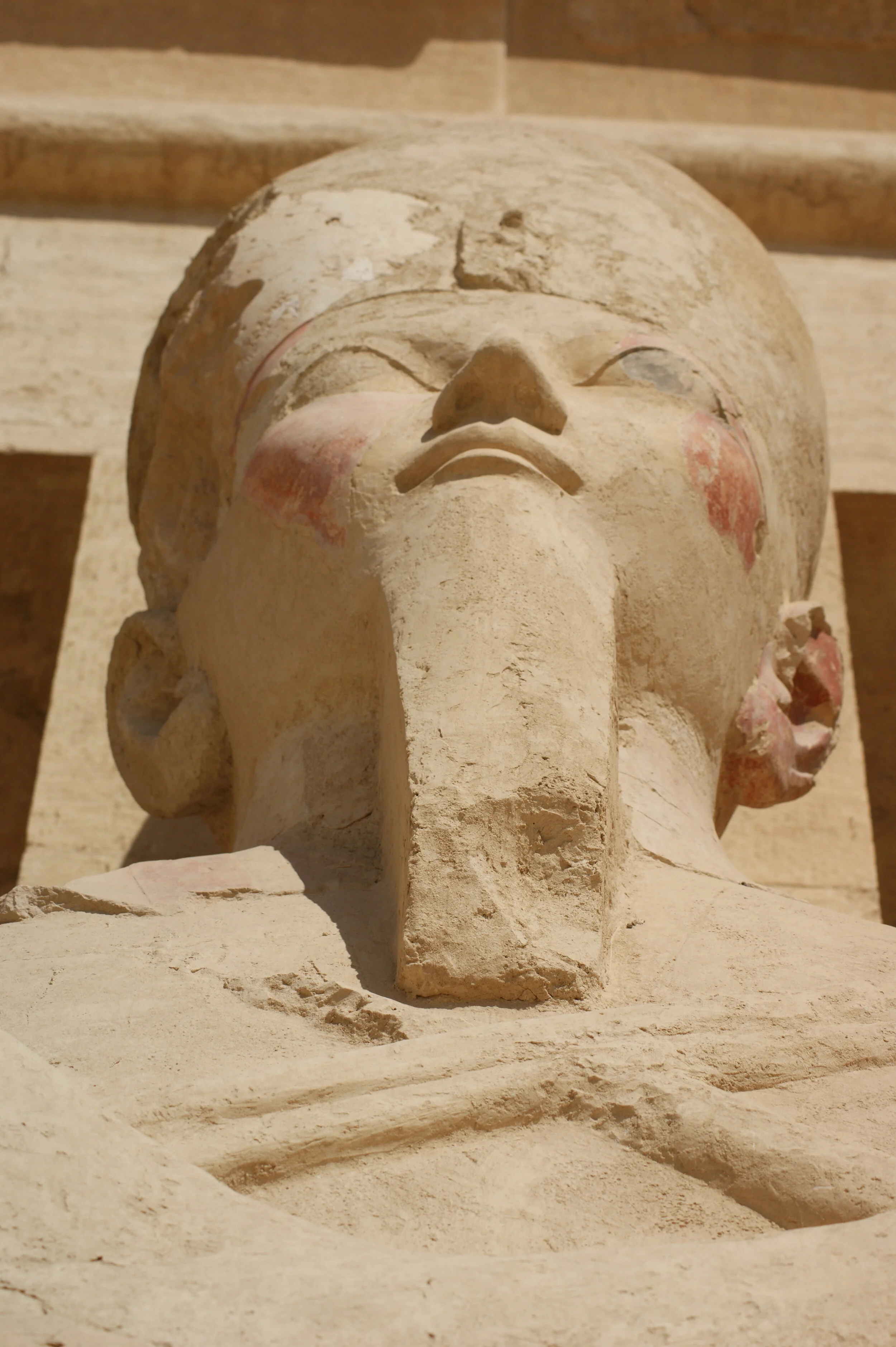 Is it a Man or Woman?