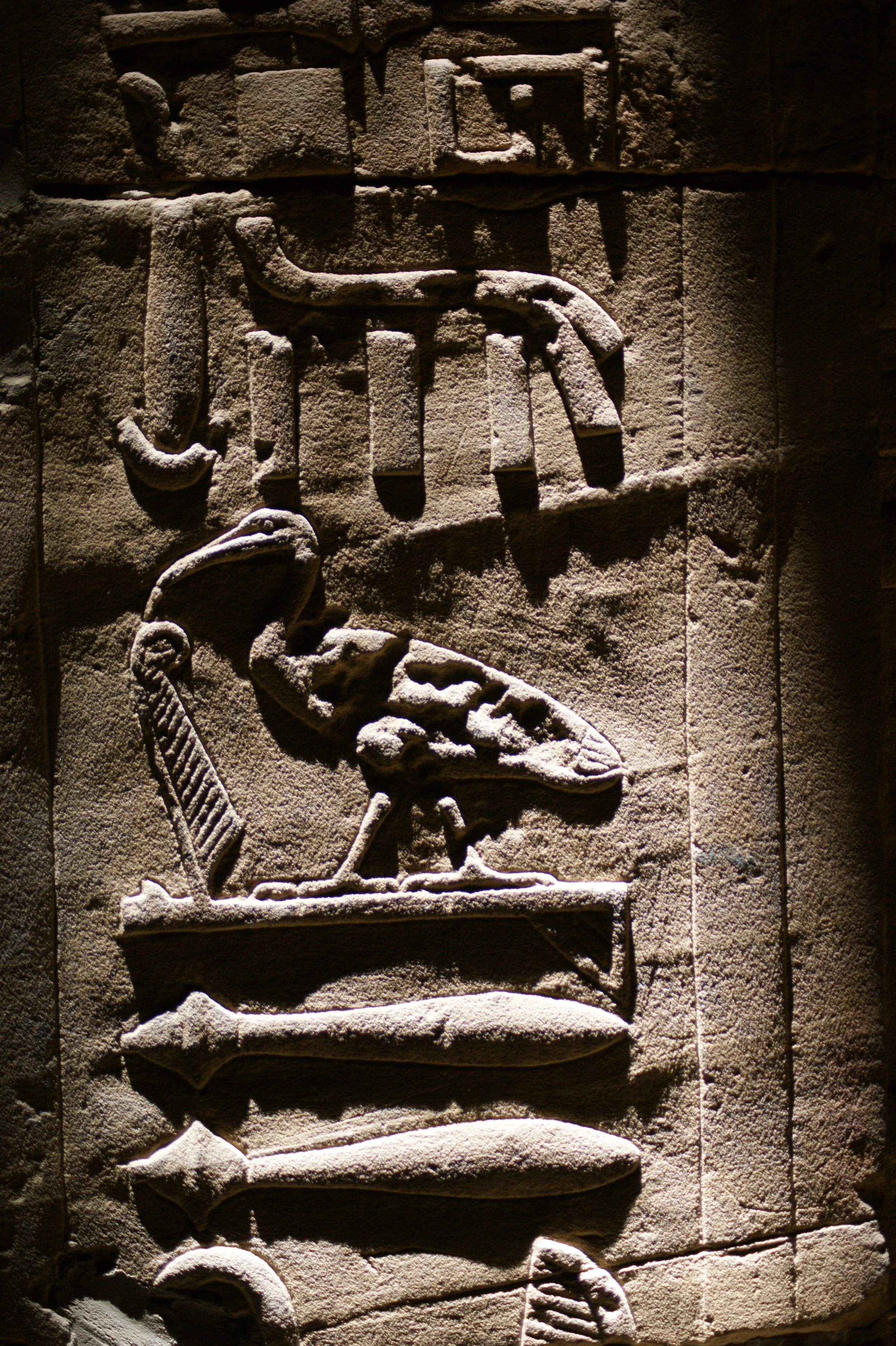 Egyptian Bird message