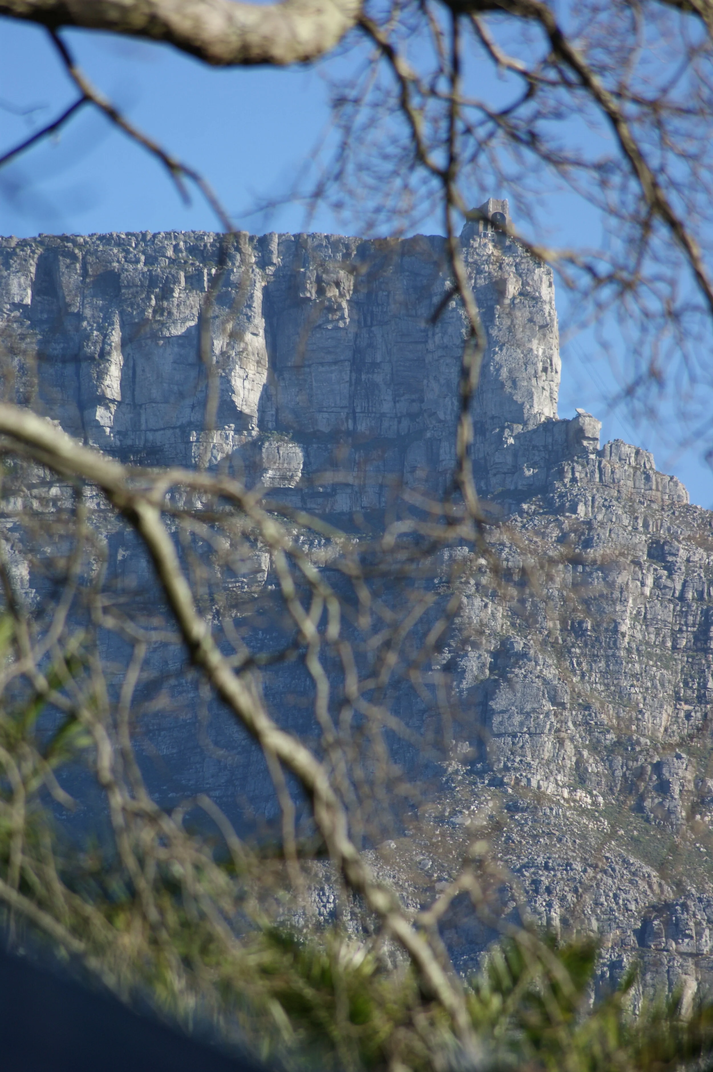 Table Mountain, S. Africa