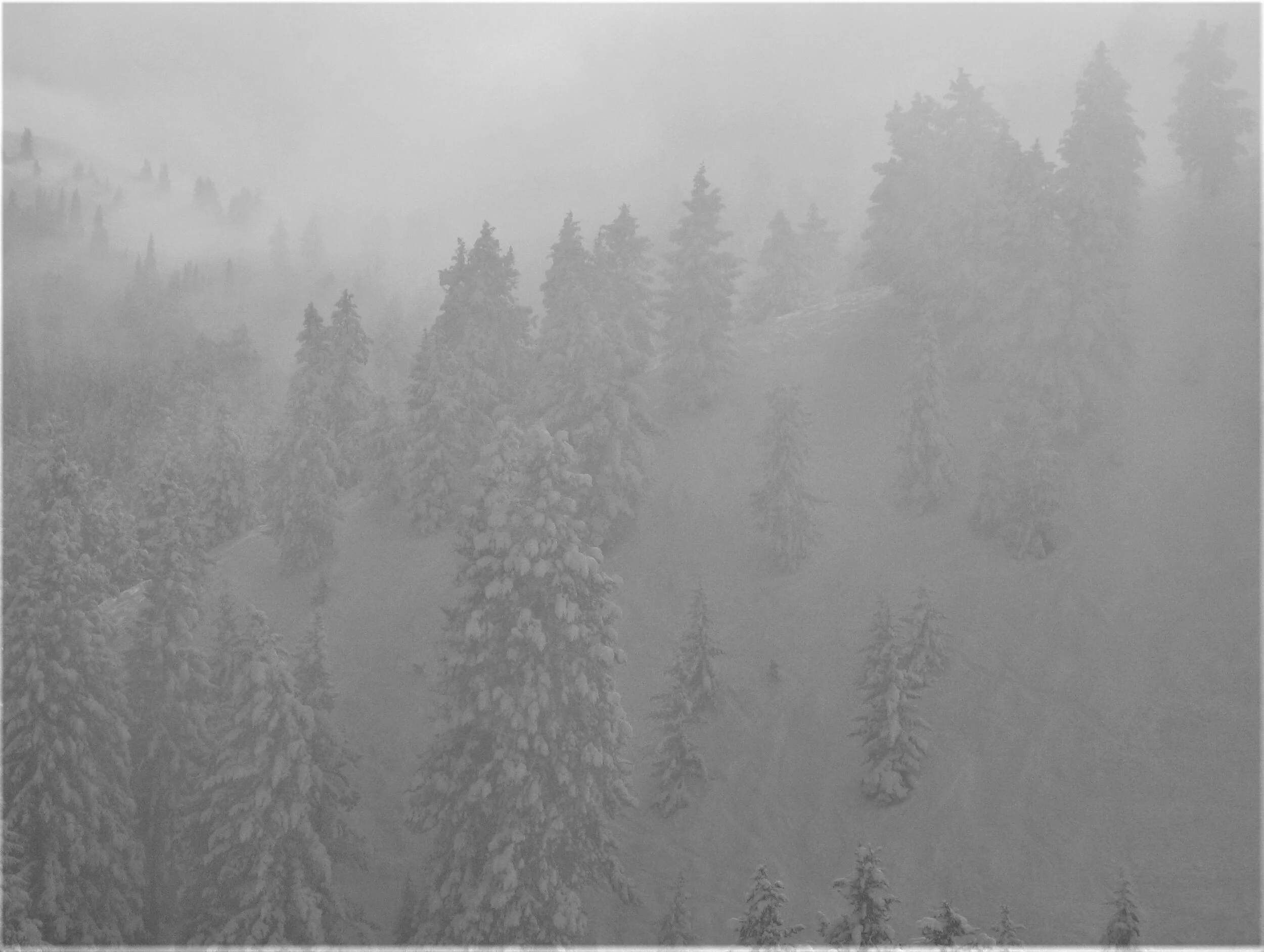 Before the Snow 2007