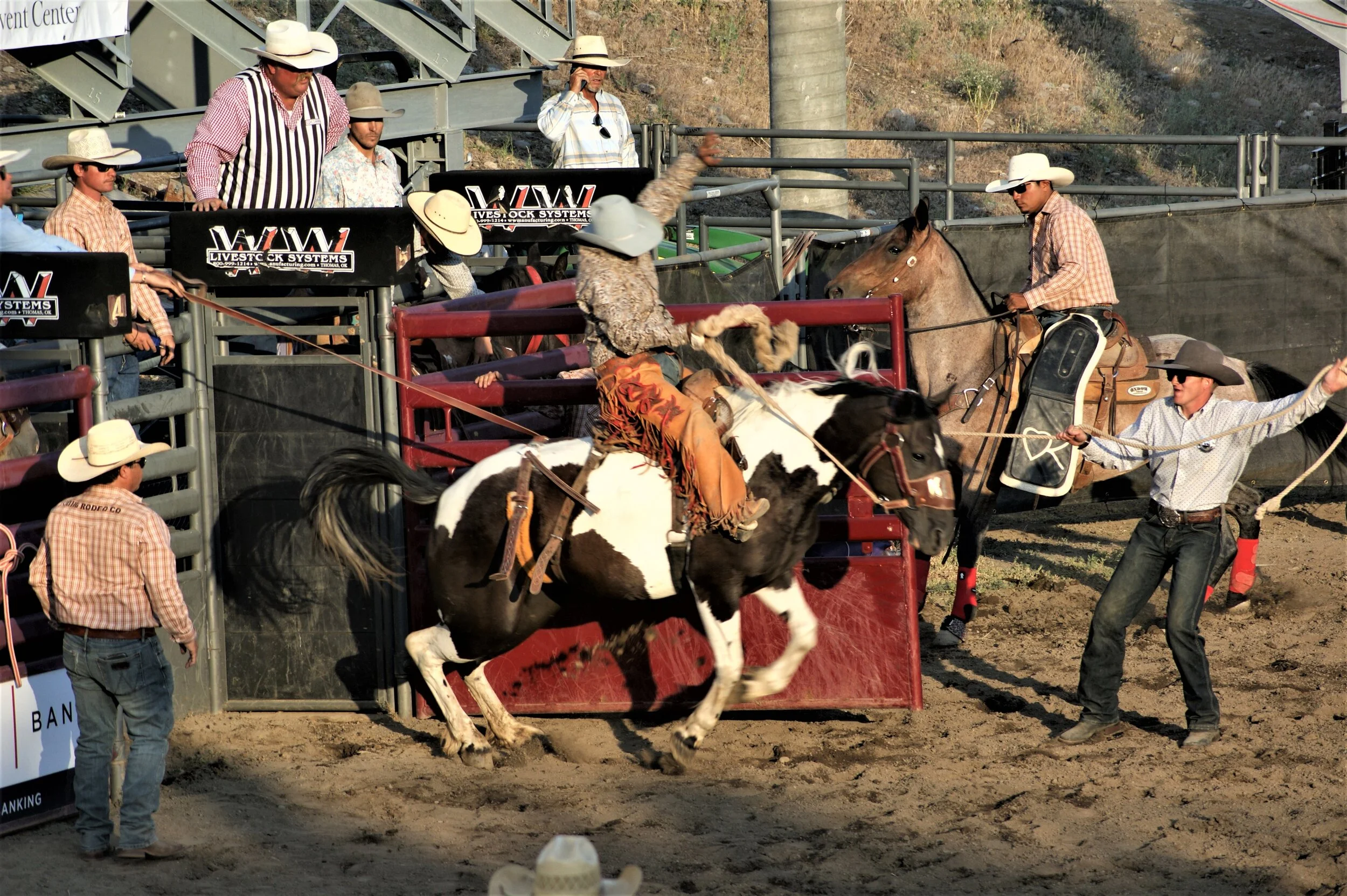 Ride the Painted Pony 1/3