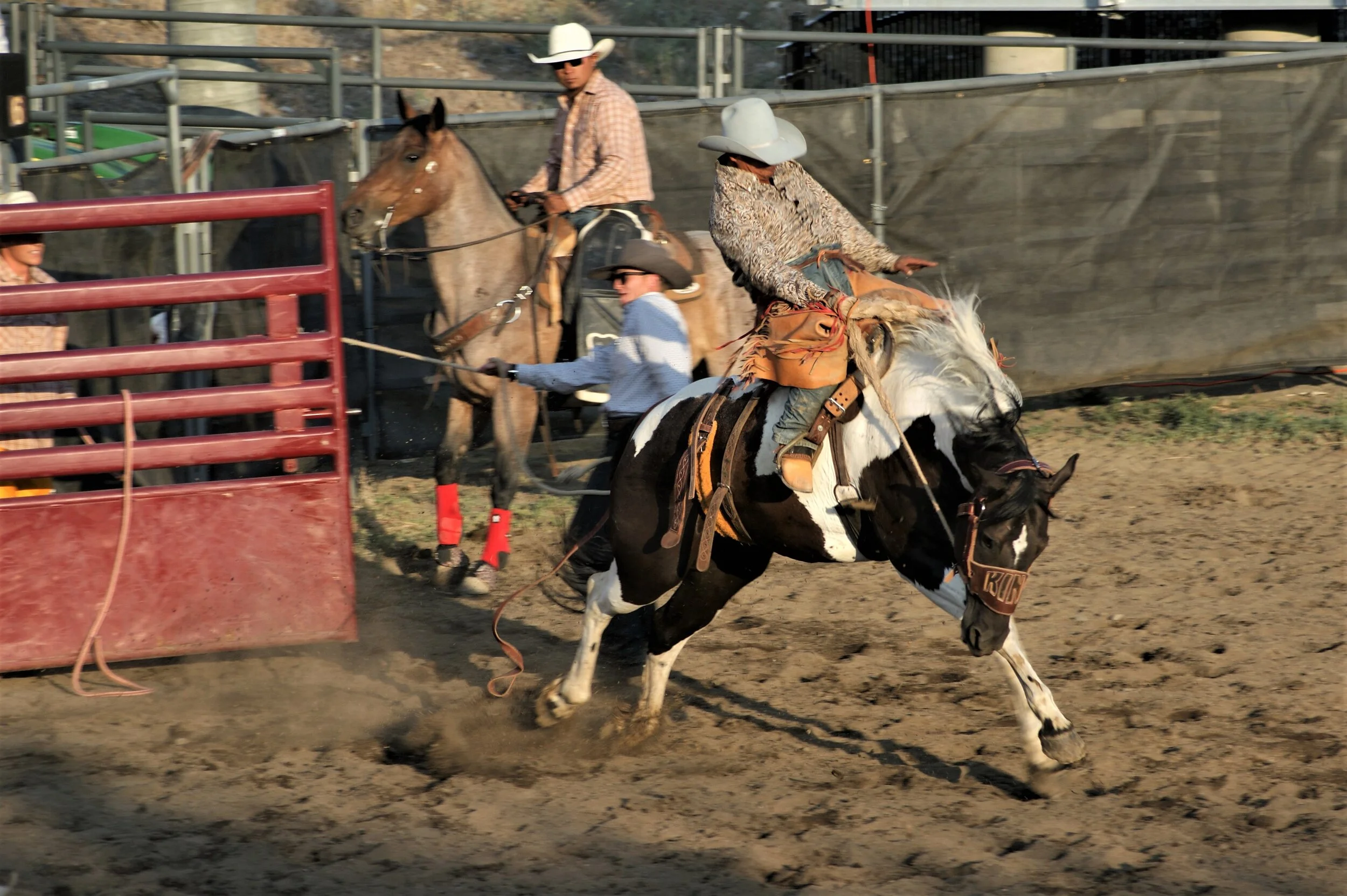 Cowboy Dreams — Ted McDonnell Pure Photography | Ted McDonnell ...