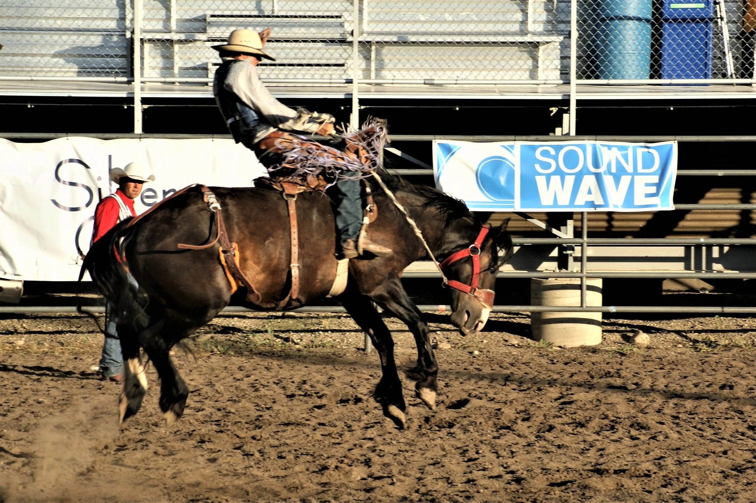 Twisting and Turning at the Rodeo