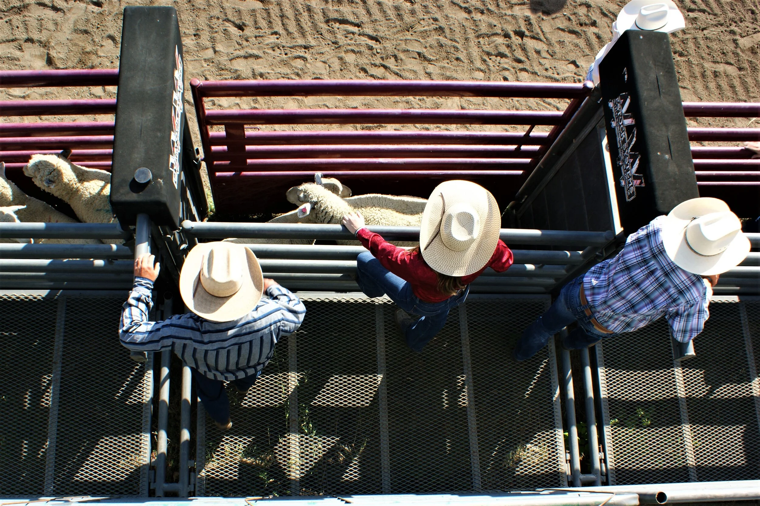 Mutant Cowboys