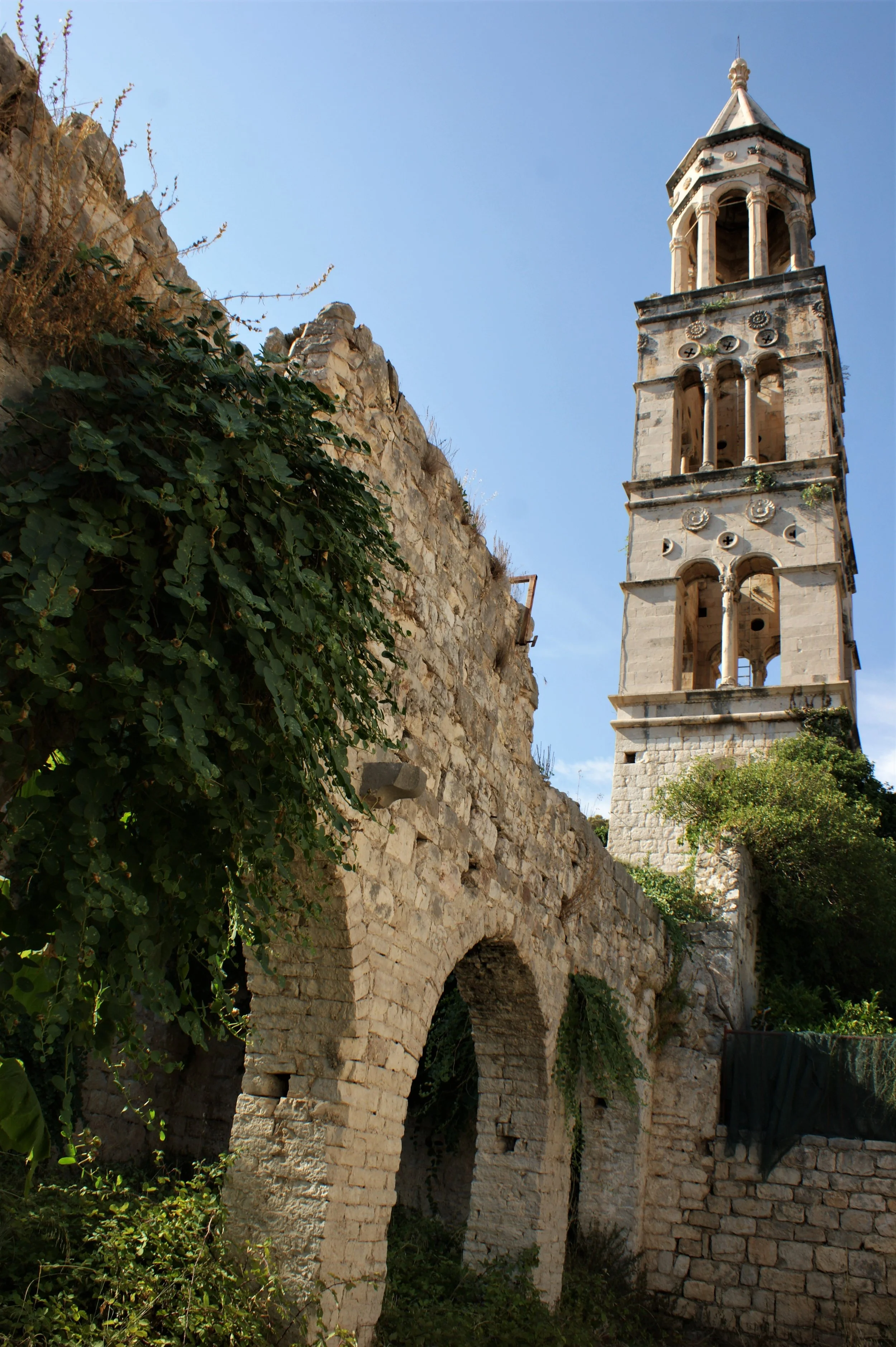 DSC03385 (2).JPG