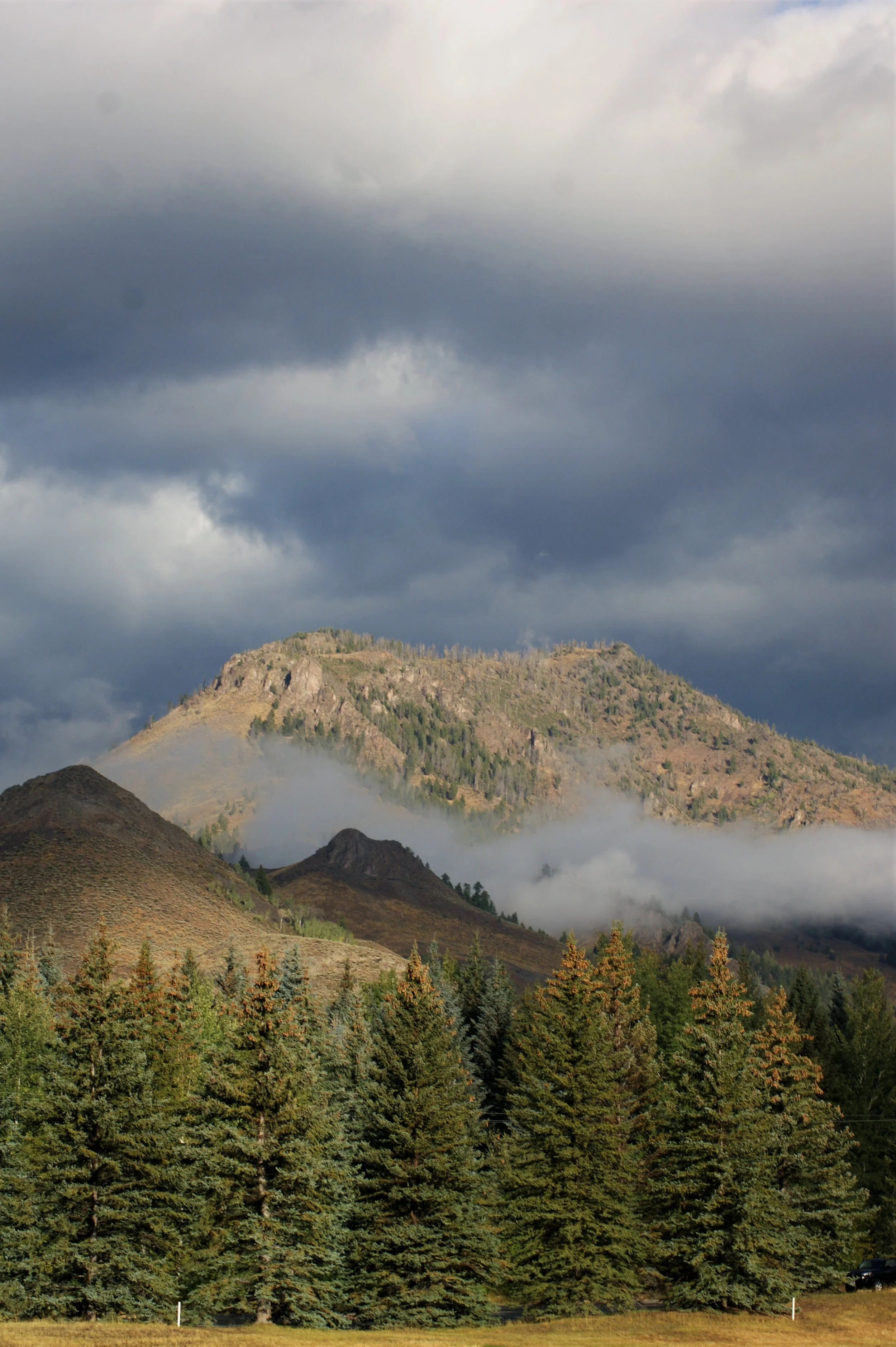 DSC04159 (2).JPG