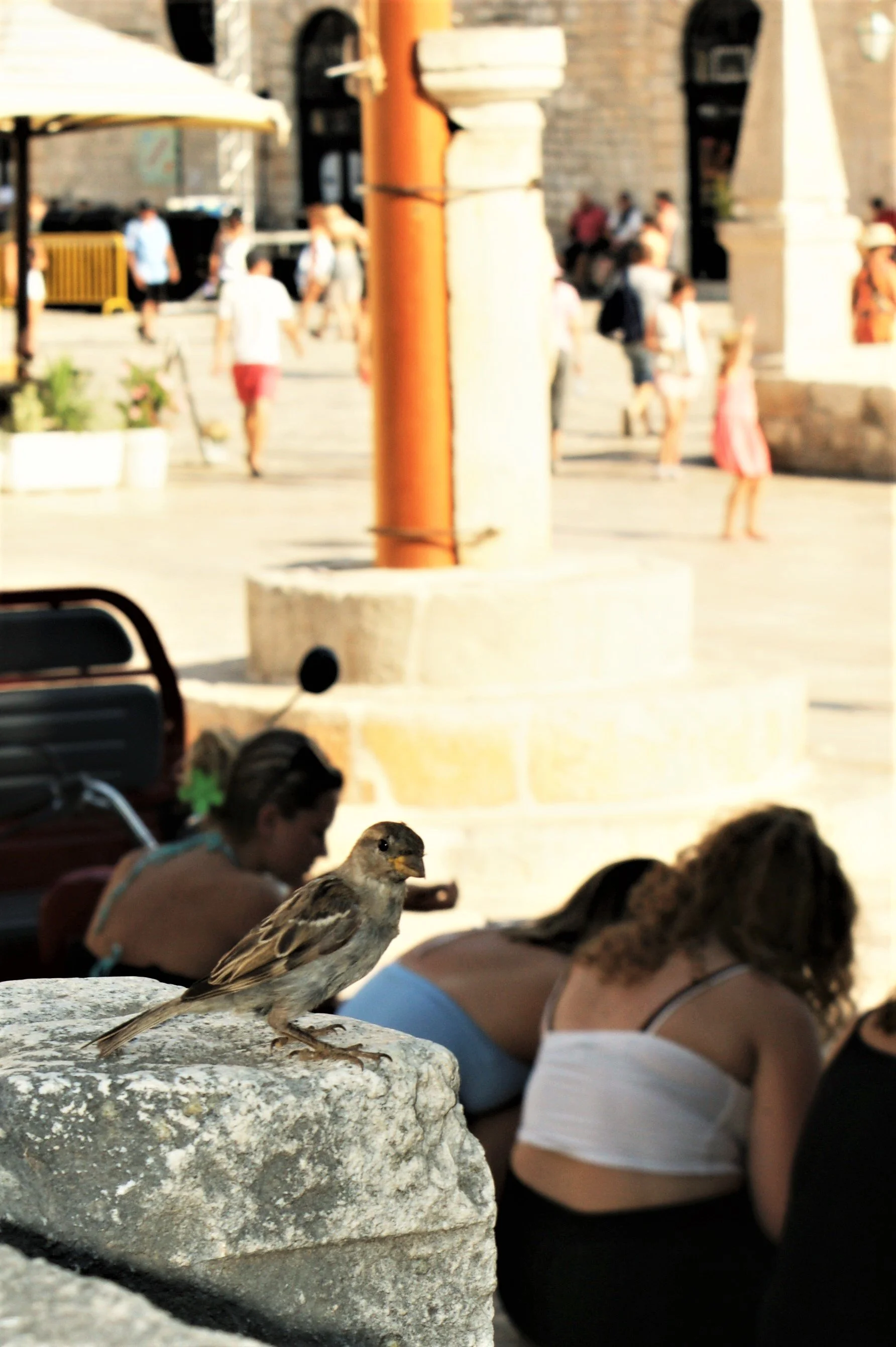 DSC03421 (3).JPG