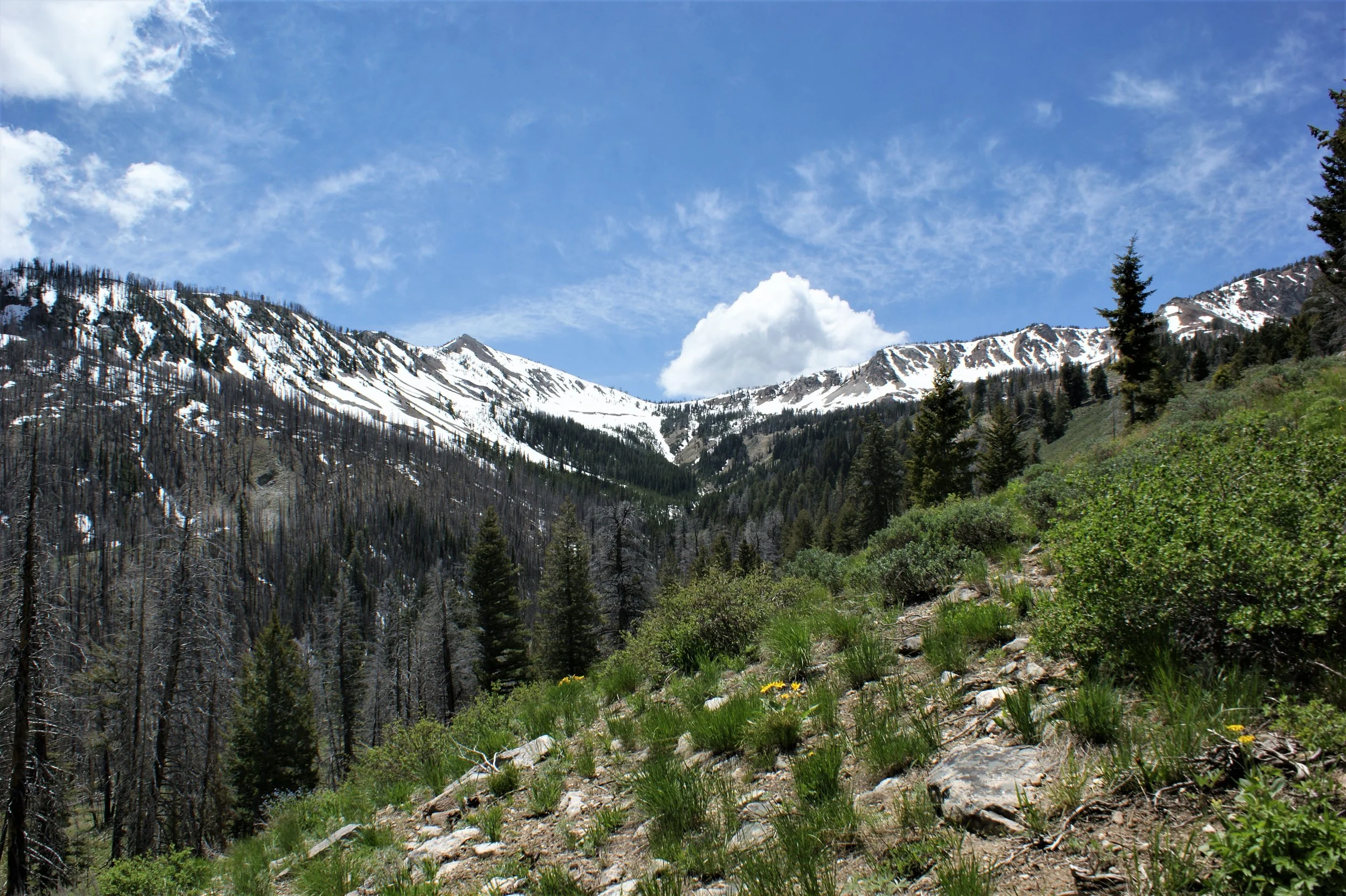 On Top of Mountain