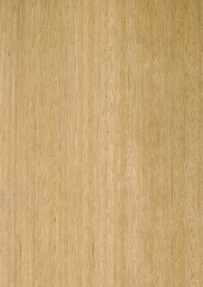 Blackbutt Quarter Cut