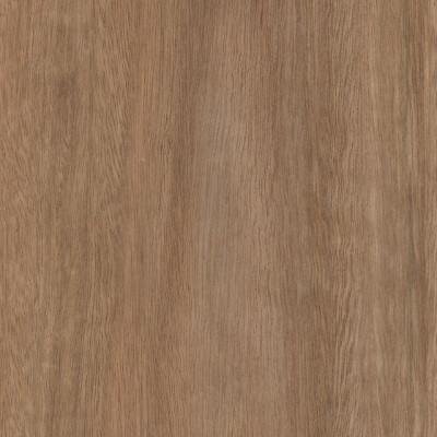 Spotted Gum Crown Cut