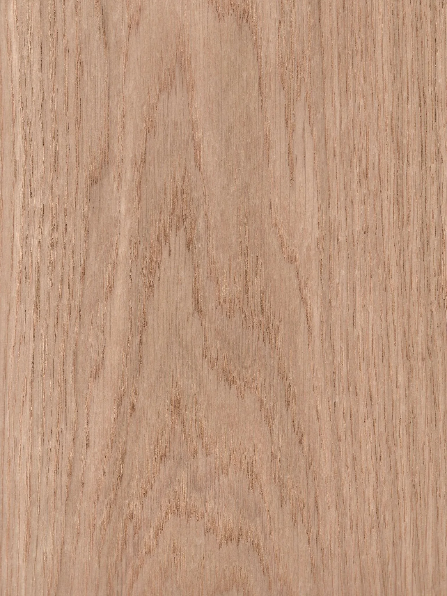 Euro Oak Crown