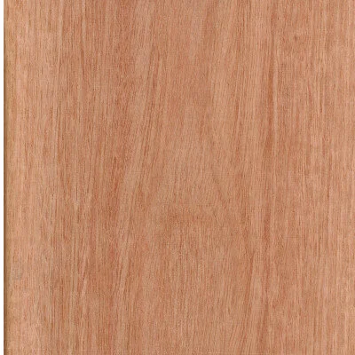 Sydney Blue Gum Crown Cut