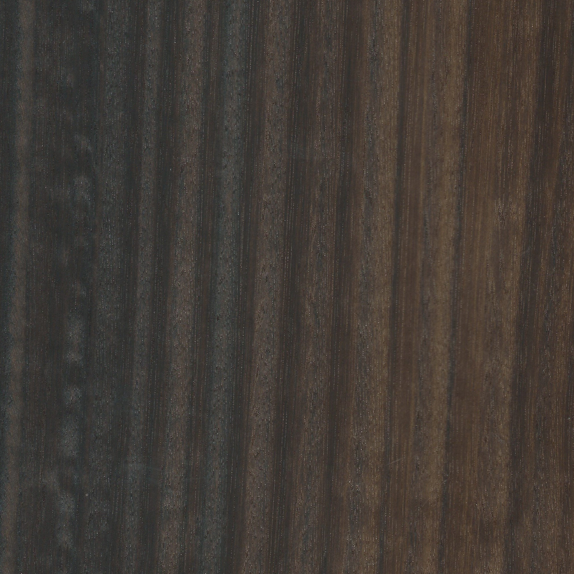 Smoked Eucalypt Quarter Cut