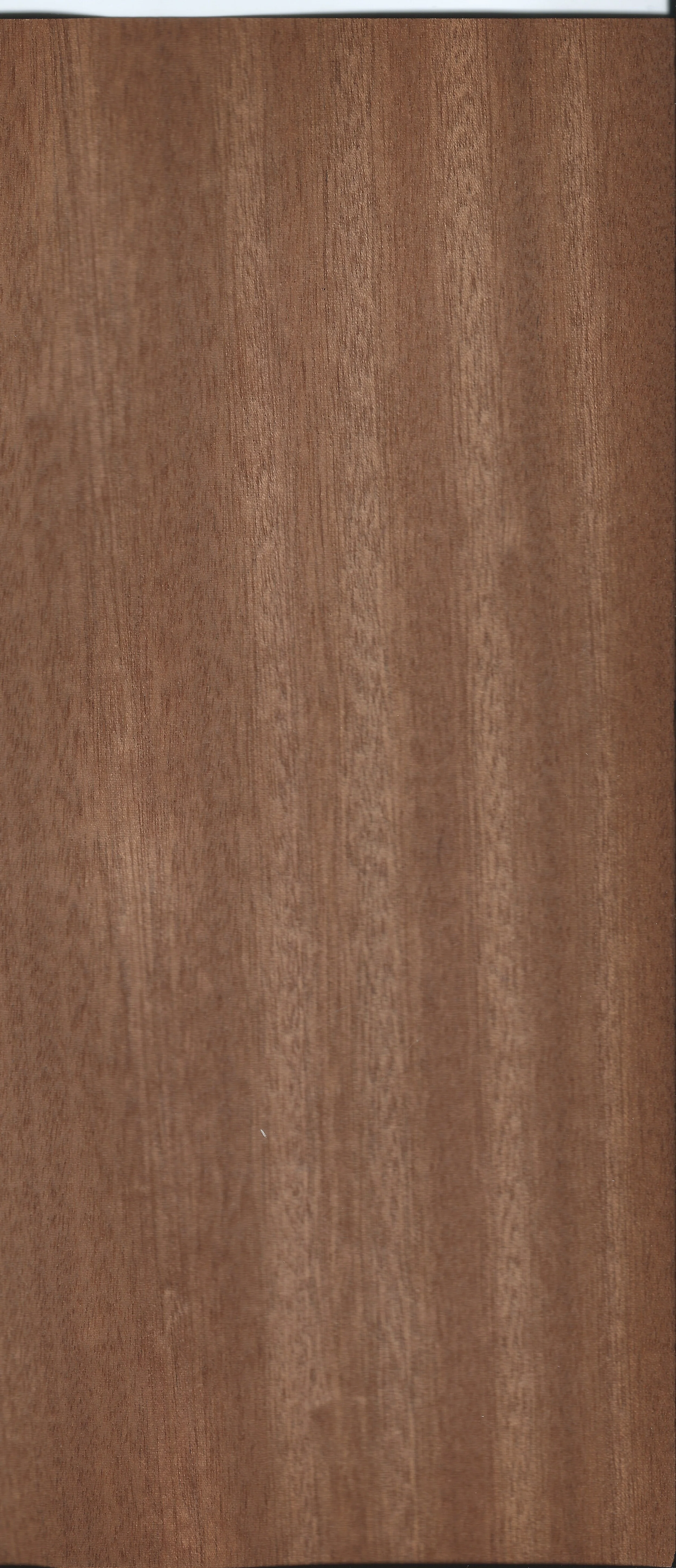 Sapele Quarter Cut