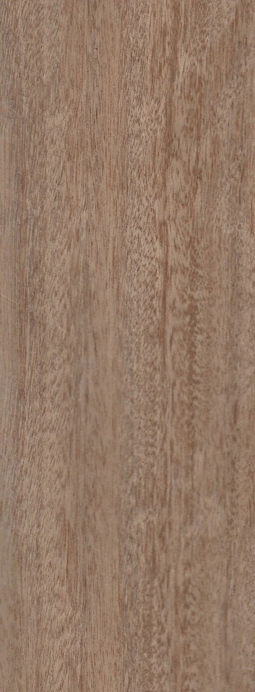 Ironbark Quarter Cut