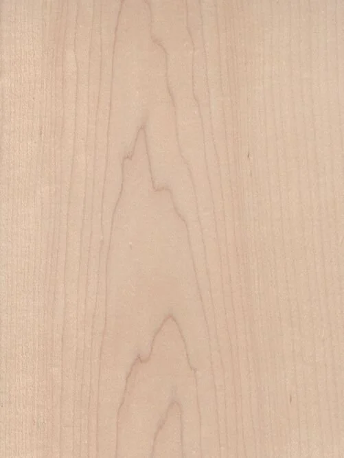 Rock Maple.jpg