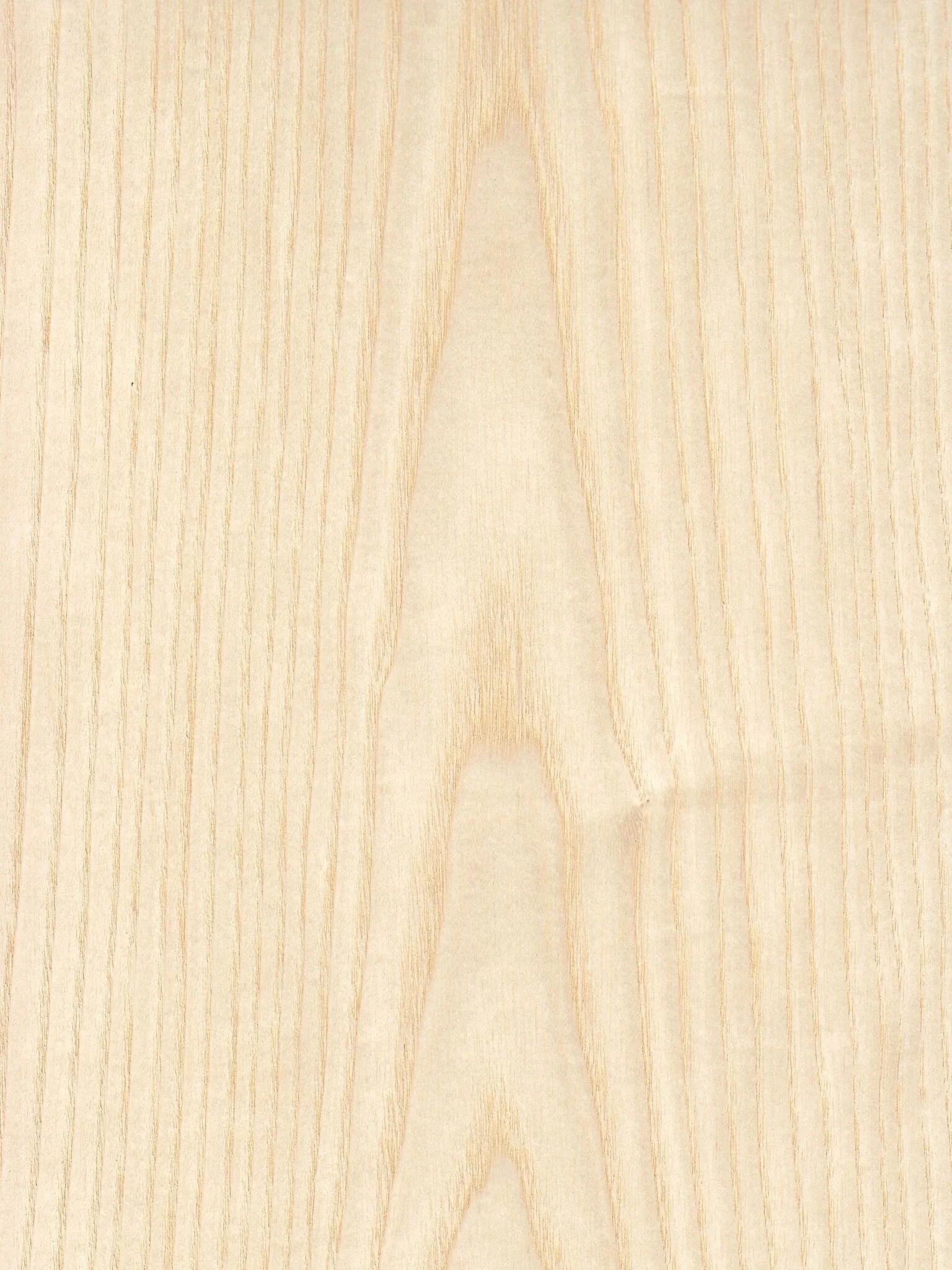 European Ash Crown.jpg