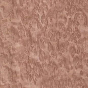 Eucalypt Pommele.jpg