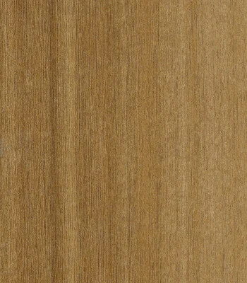 Carbonized BlackButt