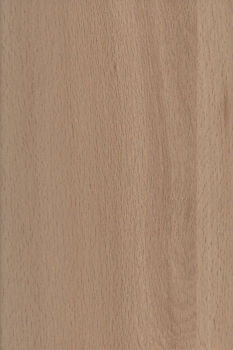 Gladwell Beech