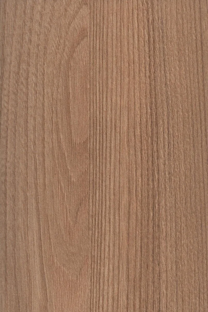 Robin Burlington Elm