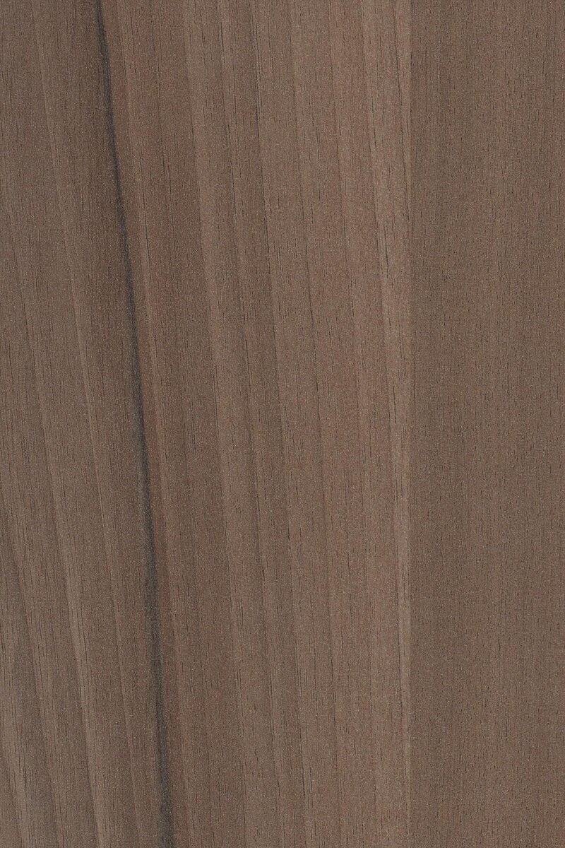 South Texas Pecan