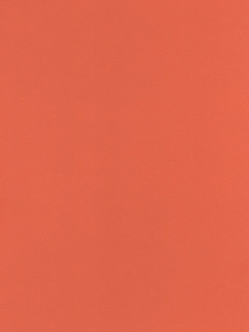 Carrott+C0045+LA+IV.jpg