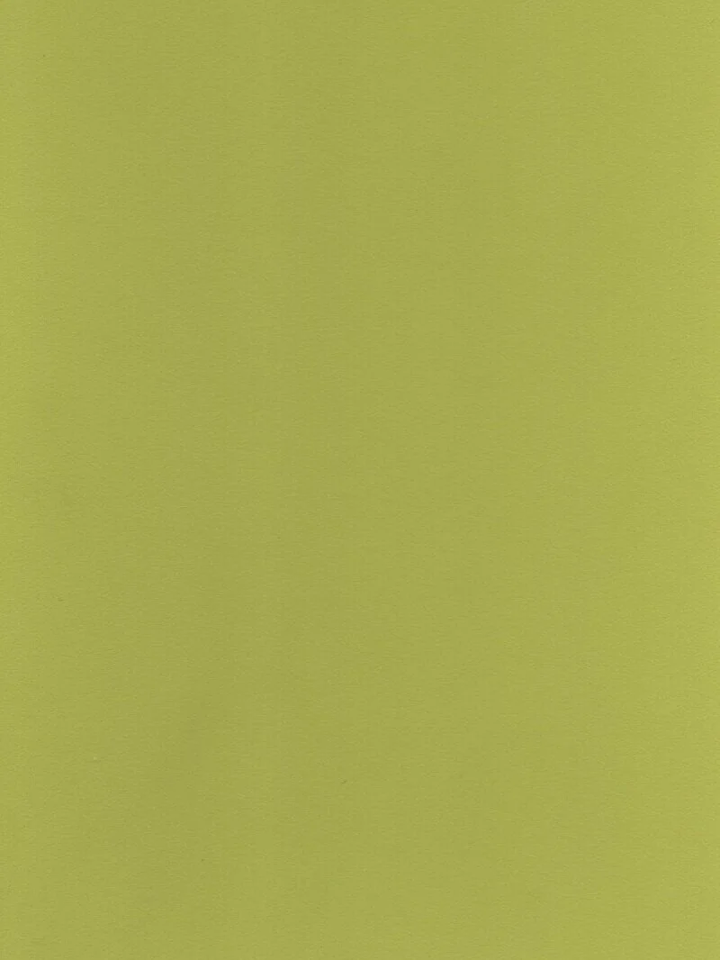 Key+Lime+C0075+LA+IV.jpg