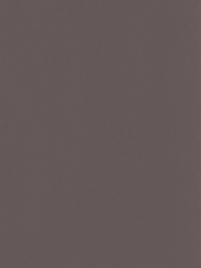 Steel