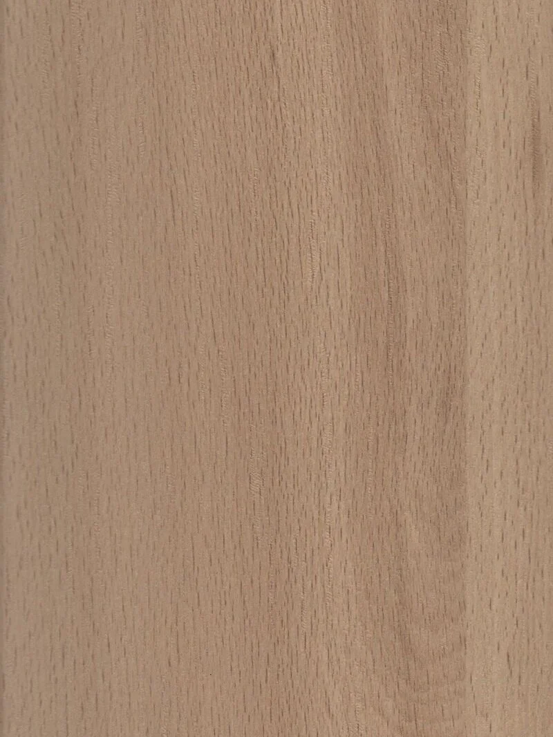 Gladwell Beech