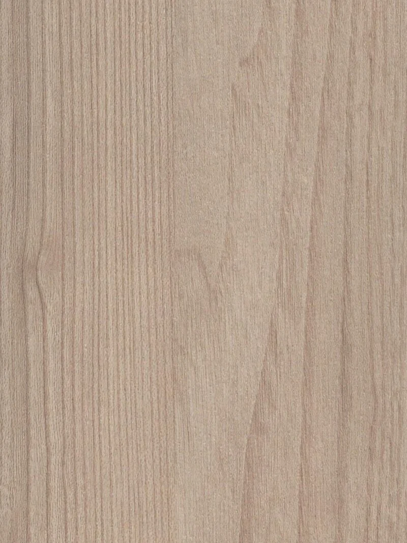Issa Burlington Elm