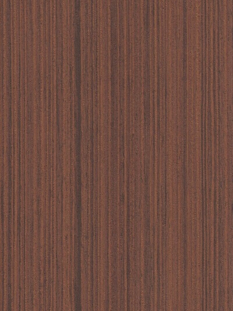 Kanto Cedar
