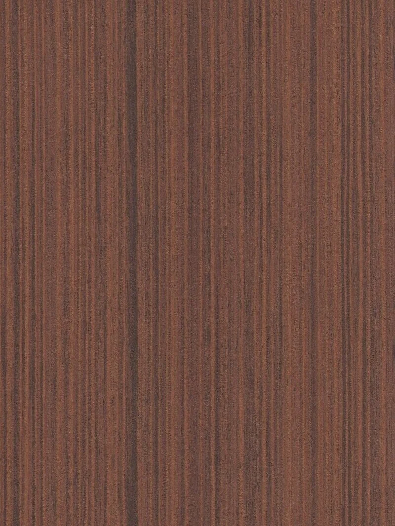 Kanto Cedar
