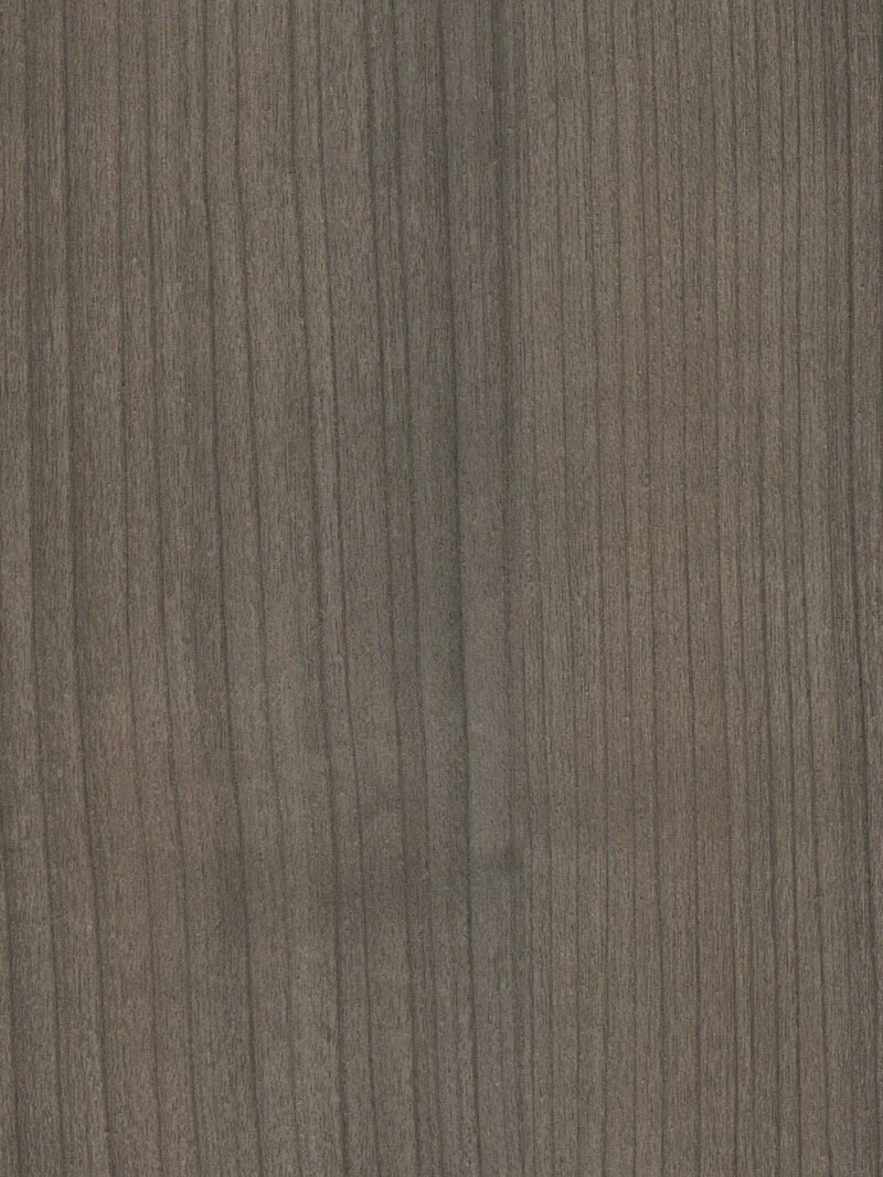 Paleon Maple