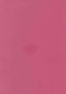 Pink Rhapsody