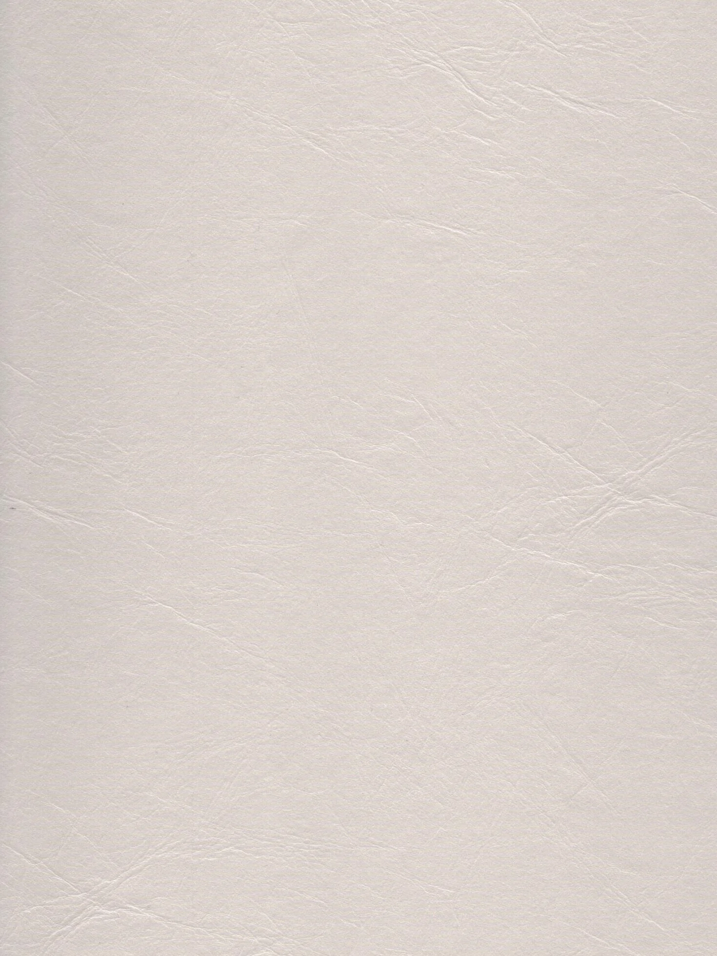 Almond LP