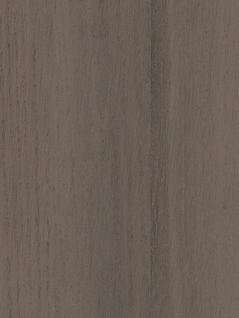 Mongolica Oak Tyne