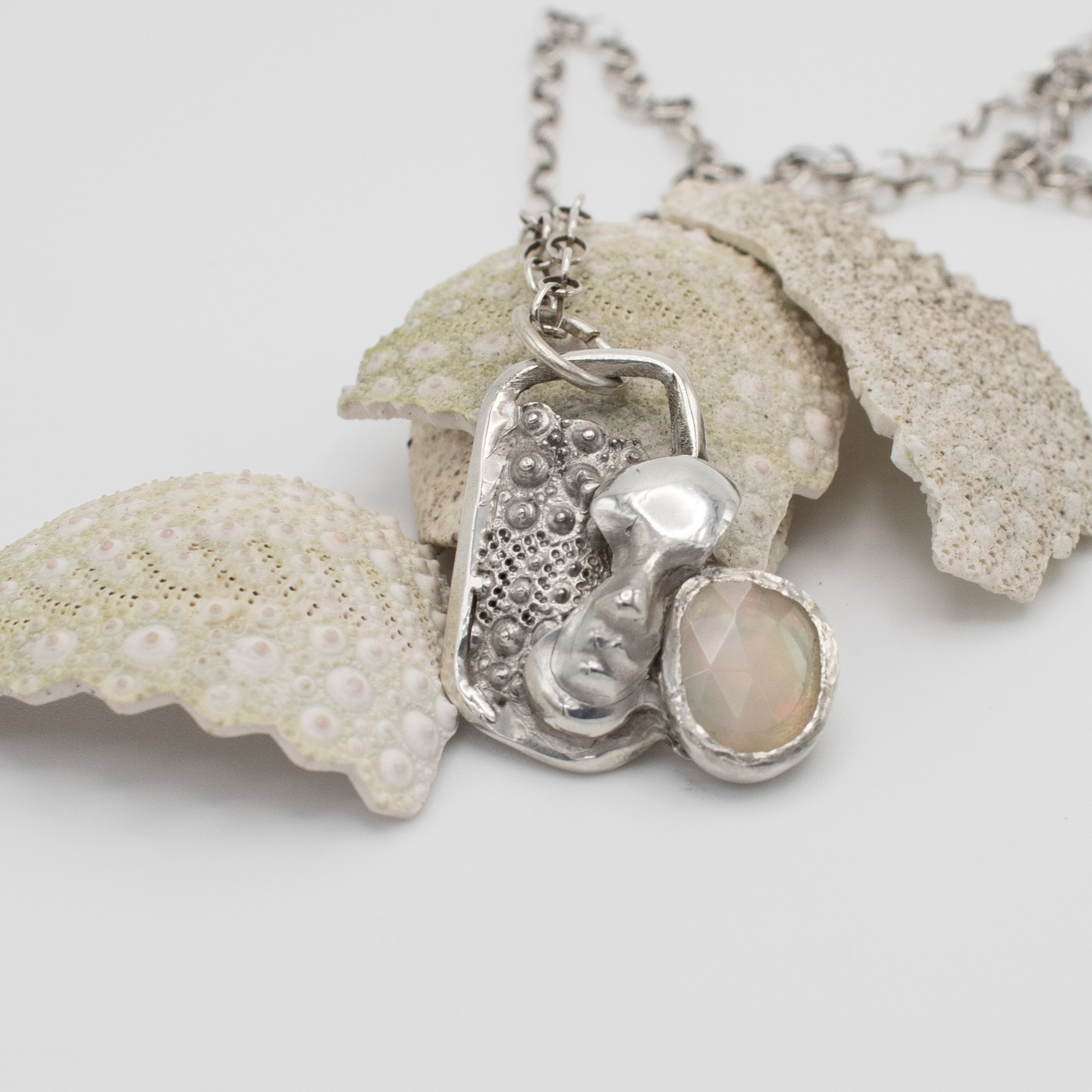 Dreaming: Sea Urchin and Opal