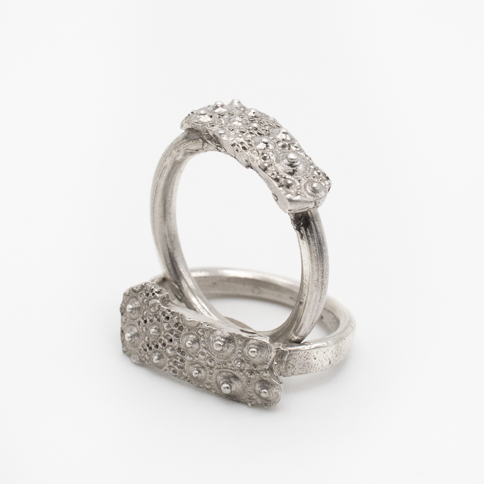 Sea Urchin Fragment Rings