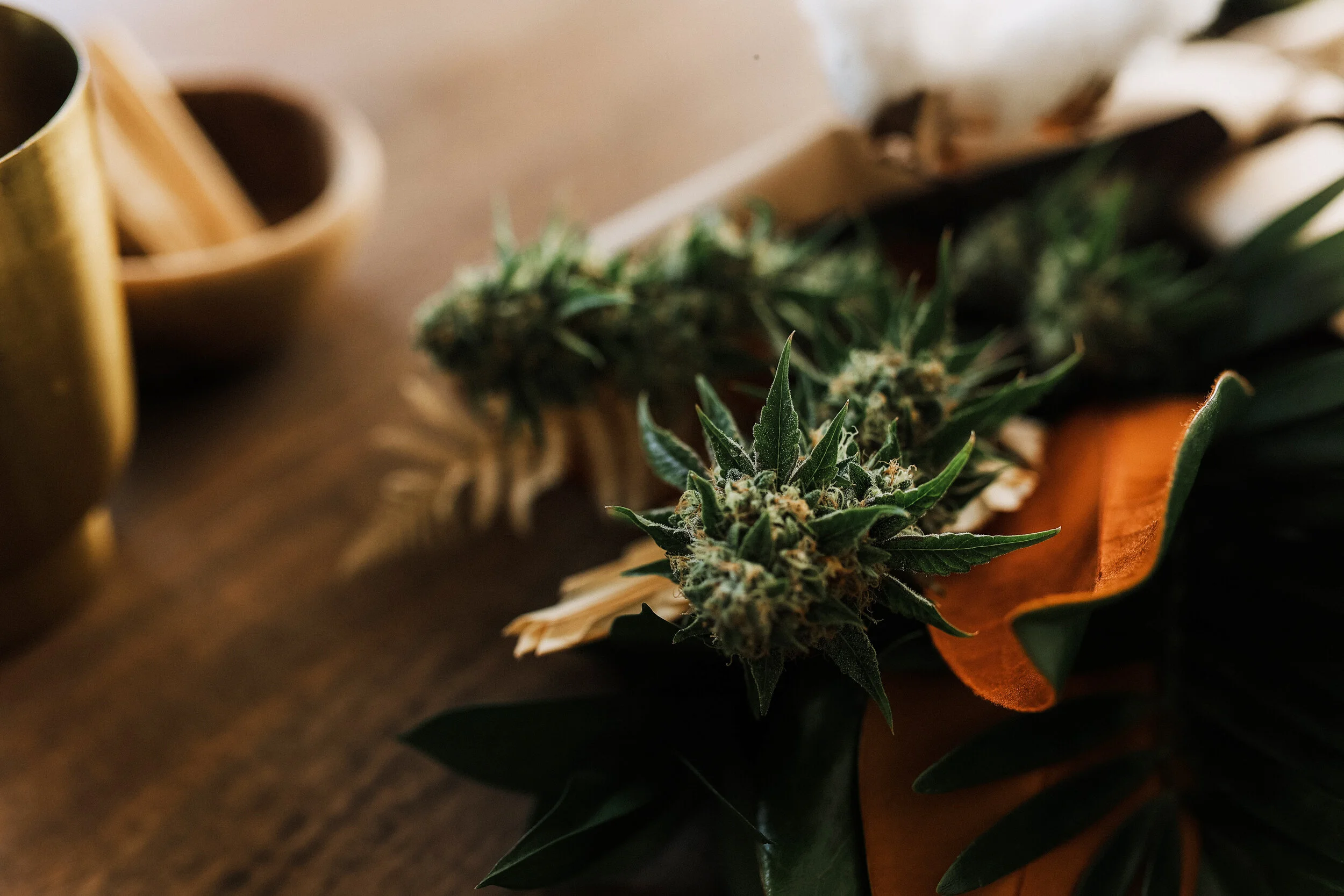 THC_FLOR_SKYWALKER_ORG LEAF.jpg