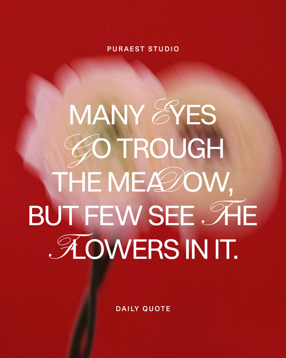 &quot;MANY EYES GO THROUGH THE MEADOW, BUT FEW SEE THE FLOWERS IN IT&quot; - Ralph Emerson​​​​​​​​
​​​​​​​​
What do you think this quote means? 🌷​​​​​​​​
​​​​​​​​
​​​​​​​​
#puraeststudio #creativestudio #quote #typography #dowhatyoulove #startupinsp